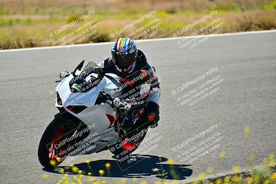 media/May-10-2024-2WTD (Fri) [[c88d7990af]]/Group C/Session 2-The Bowl/